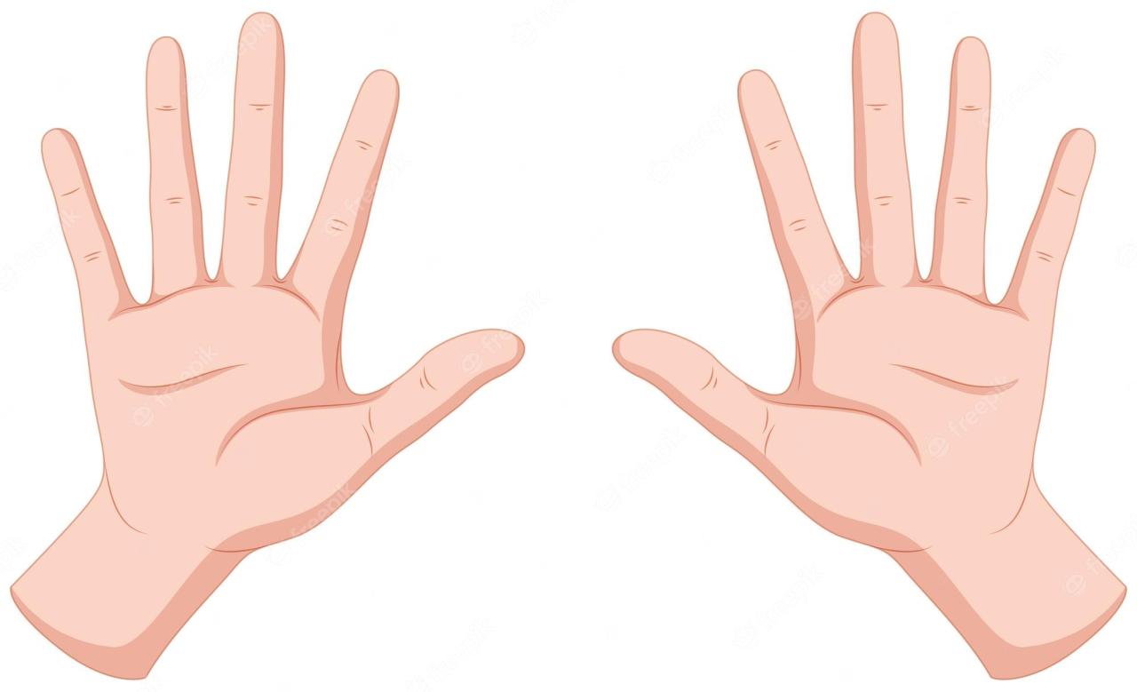 Free Clipart Of Woman's Hand at Sophie Denny blog What Are The Common Misconceptions About Organic Foods
